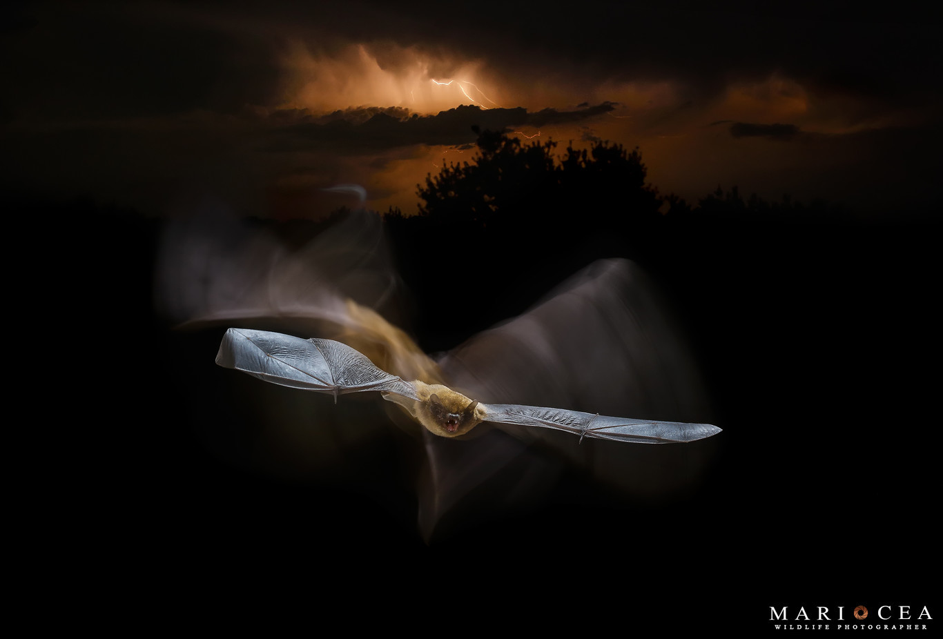 FOTEANDO by Alberto De Francisco - 1366_2000%20(2).jpg
